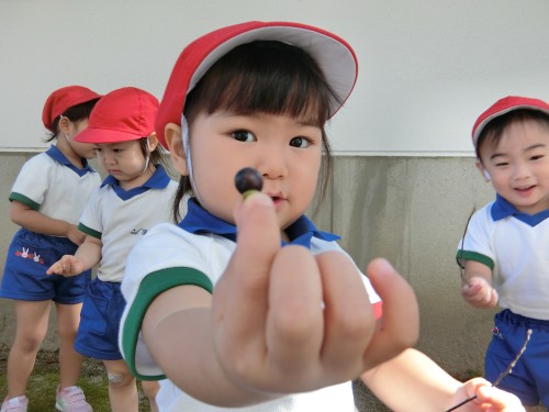京町堀ナーサリースクールの正職員 保育士 企業主導型保育園求人イメージ